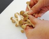 白だし┃なすとひき肉のラザニア風グラタン作り方3写真