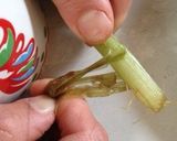 一瞬！！簡単にふきの皮むき♪作り方4写真