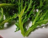 春菊のおひたし作り方1写真