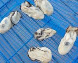 干し牡蠣のオイル漬け作り方4写真