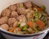 ✤豚肉団子と白菜の煮物✤作り方4写真
