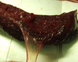 ｼﾞﾋﾞｴ料理☆鹿肉のｶﾂ作り方4写真