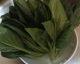 葉物野菜のおすすめ冷蔵保存方法作り方1写真