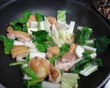 鶏肉と白菜ほうれん草のミルク煮作り方4写真