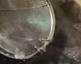 *ふっくら黒豆*作り方4写真