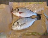 おせちに 本格 手作り鯛かまぼこ作り方1写真
