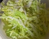 ﾓﾘﾓﾘ食べれる白菜ｻﾗﾀﾞ♪めちゃ簡単作り方1写真