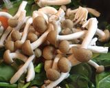 トマトカレー作り方5写真