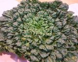 ターツァイの中華風お浸し作り方1写真