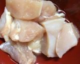 冬瓜と鶏むね肉のピリ辛煮作り方1写真