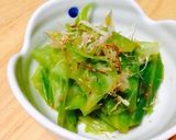 あと一品！キャベツの辛子おかか和え作り方3写真