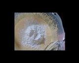 ノンオイル豆乳シフォン作り方6写真