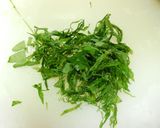 白菜の大葉梅ごまジャコ酢の物　どすぇ作り方3写真