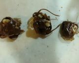 くるみ飴作り方8写真