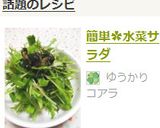 簡単✿水菜サラダ作り方6写真