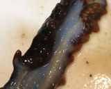 簡単ナマコ酢作り方4写真