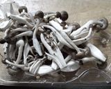 ホールトマトのハッシュドビーフ！作り方3写真