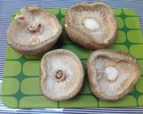 椎茸のアンチョビマヨ焼き作り方1写真