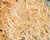 ボイルもやしの簡単！！昆布だし和え作り方2写真