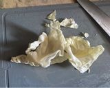 超簡単!カレーに合うキャベツピクルス作り方1写真