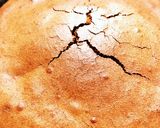 失敗知らず！濃厚しっとり＊ガトーショコラ作り方18写真