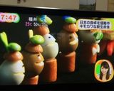 お弁当に♪ウインナー星人★☆★作り方13写真