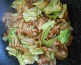 豚肉小間肉と玉葱とキャベツの３点味噌炒め作り方13写真