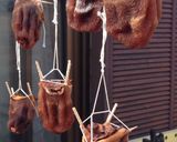 普通の柿を大量消費、らくちん干柿作り方4写真
