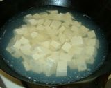 本格派!からっウマッ!!麻婆豆腐作り方5写真