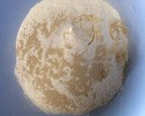 韓国屋台風あつあつくるみ蜂蜜ホットック作り方2写真