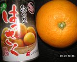 めっけもん♪八朔入り葛餅作り方1写真