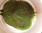 エゴマの葉の醤油漬け(ケンニプ)作り方4写真