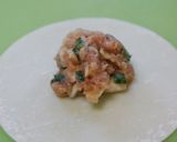 ◎まんまる餃子◎作り方2写真