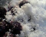 【ブルーベリーソース】作り方1写真