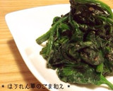 * ほうれん草のごま和え *作り方10写真