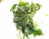 【糖質制限】ヘルシー美味しいささみ海苔巻作り方1写真