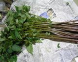 山菜ミズナの炒め作り方1写真