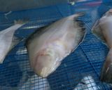 かれいの一夜干し作り方7写真
