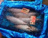 生鯖っぽい鯖寿司作り方1写真