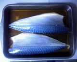 生鯖っぽい鯖寿司作り方5写真
