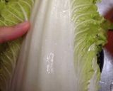 簡単☆本格☆白菜入り餃子作り方1写真