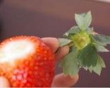 バレンタインのイチゴチャン♡作り方1写真