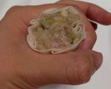 餃子の皮de白菜たっぷり焼き焼売作り方5写真