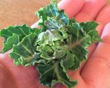 こだわり野菜のグリーンサラダ作り方1写真