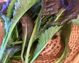 こだわり野菜のグリーンサラダ作り方4写真