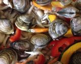 アクアパッツァ作り方9写真