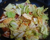 イカと白菜と厚揚げのトマト煮作り方6写真