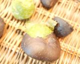宇宙芋のバターソテー作り方3写真