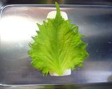 お弁当に♬竹輪の大葉巻き作り方2写真