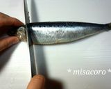 m塩鰯deしょうが煮作り方1写真